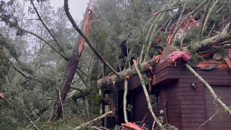 Watch: Wind knocks trees into homes during California storm