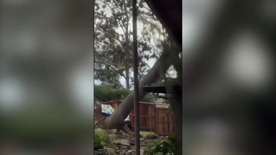 Watch: Tree crashes into home in Sacramento, California