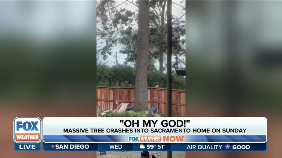 A Sacramento homeowner is lucky to be alive after a tree smashed into her home