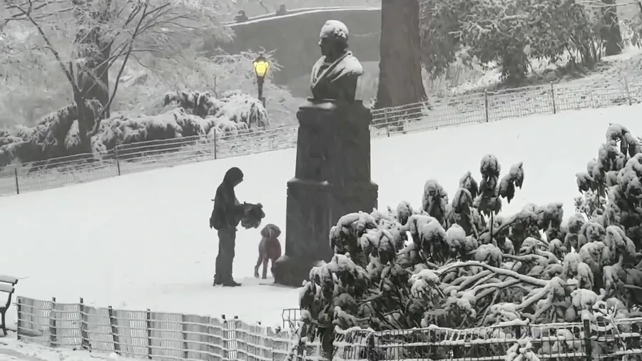 Snow covers Central Park in NYC as powerful nor'easter sweeps the Northeast