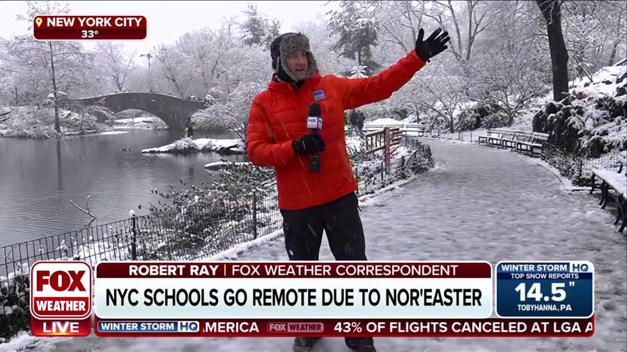 Nor'easter turns New York City's Central Park into a winter wonderland