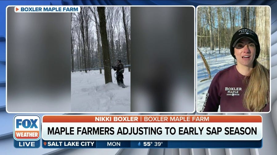 Warmer temperatures bring an early maple syrup season