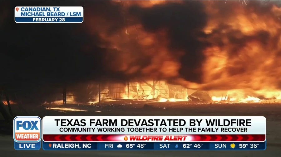 Texas farms devastated by wildfire