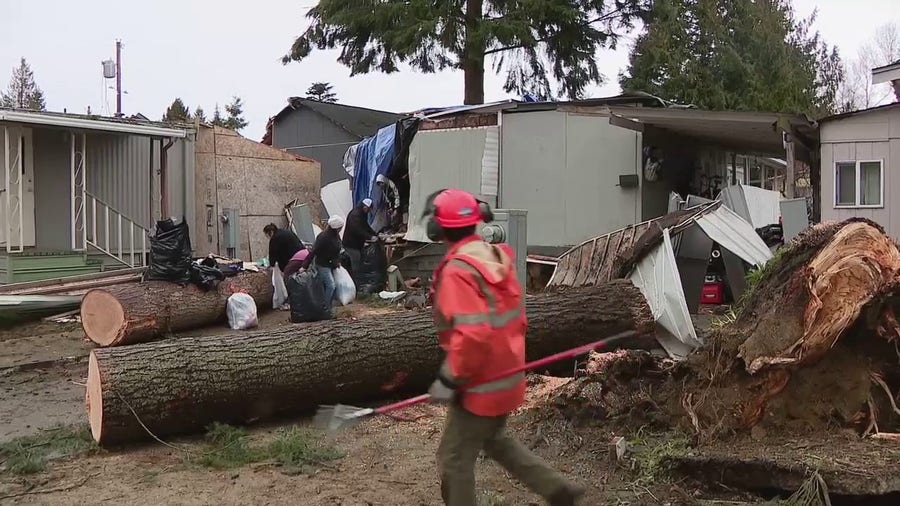 Tree destroys 3 homes damages another in Washington