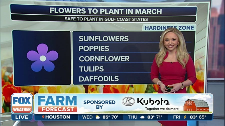 Next week's temperature flop could impact early spring planting