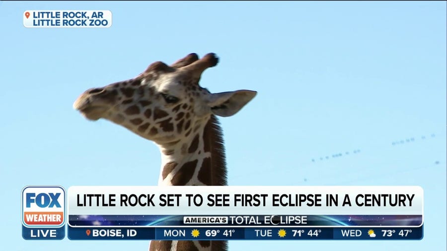 Little Rock Zoo officials to study what happens during solar eclipse