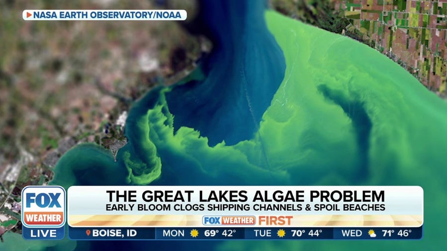 Warm winter causes early algae bloom in Great Lakes, posing threat to ecosystem