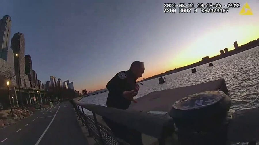 Watch: New York Police Department jumps into chilly Hudson River to rescue woman