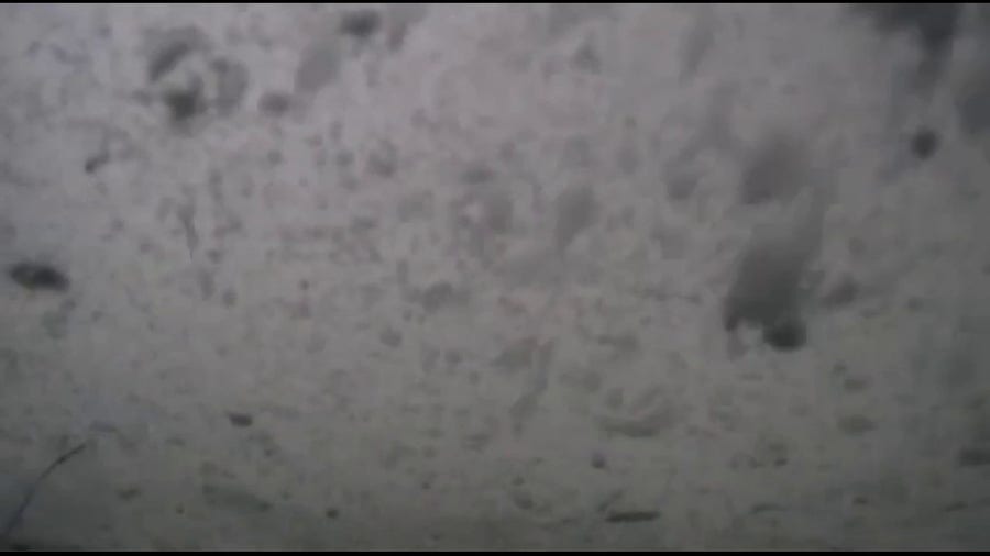 Dramatic moment police officer narrowly avoids falling tree downed by snow