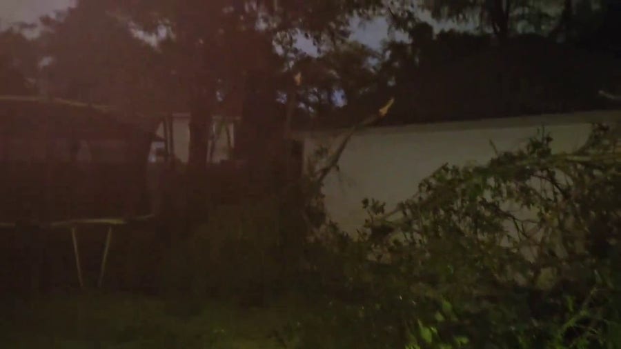 Watch: Trees snapped after severe weather in Katy, Texas