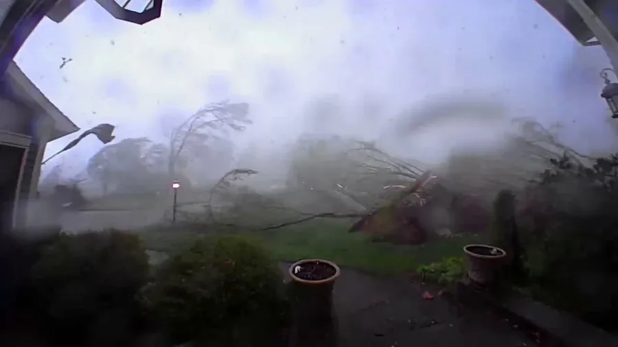 Watch: Video shows trees snapping like twigs amid tornado in Portage, Michigan