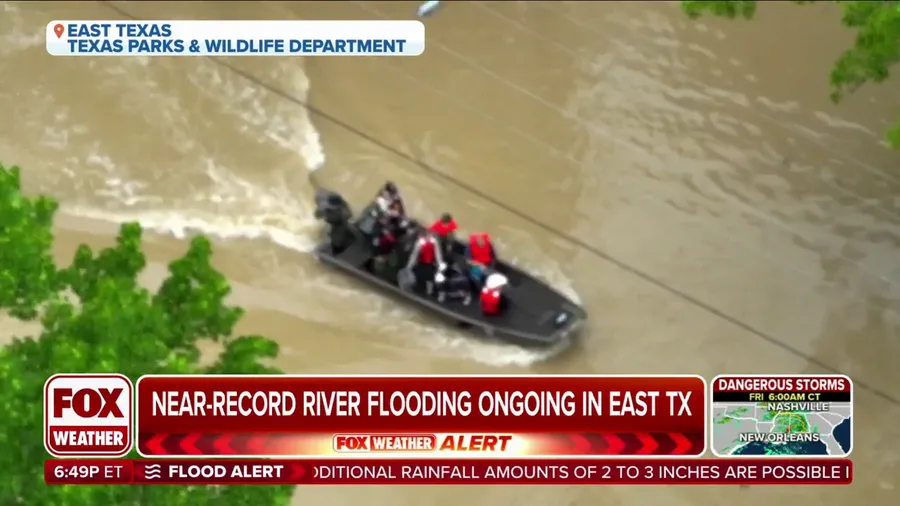 Wildlife sightings increase in Texas after flooding