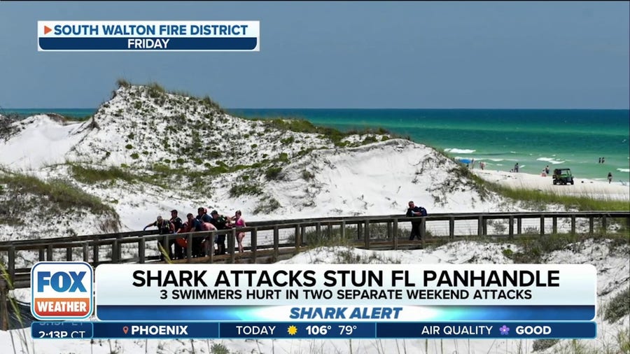Vacationing doctor rushes to help young shark bite victim on Florida Beach