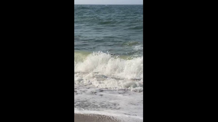 Wind turbine debris washes up in Nantucket