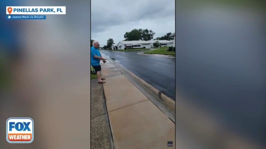 Catfish appear on flooded streets in Florida's Pinellas Park