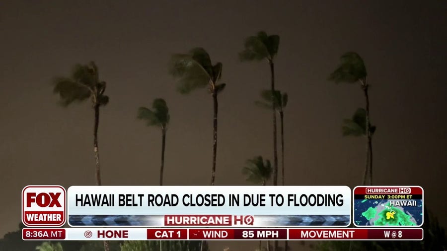 Hurricane Hone lashes Hawaii's Big Island as storm makes closest approach to Aloha State