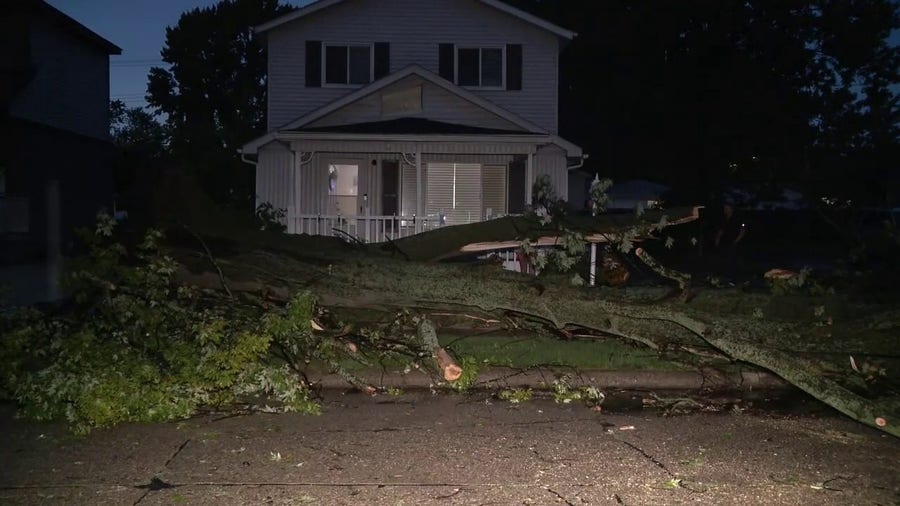 Watch: Trees snapped like twigs after severe weather blasts across Michigan county