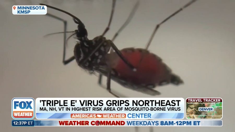 Rare, deadly mosquito virus spreading in Northeast