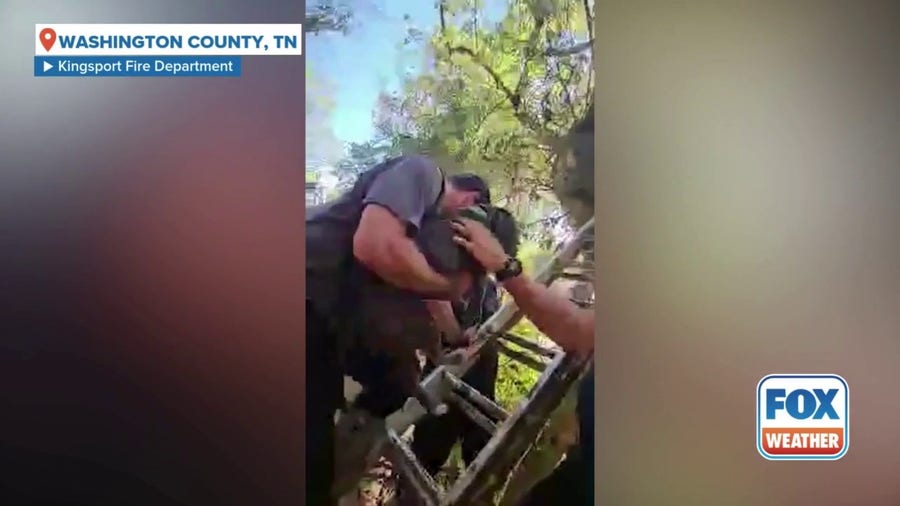 Dog rescued from tree in Tennessee after Helene floods