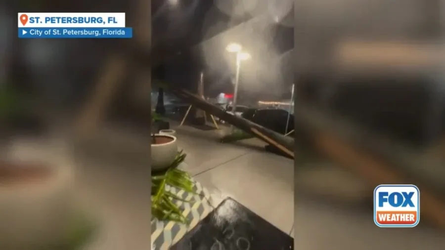 Palm tree topples over as Milton hits St Petersburg