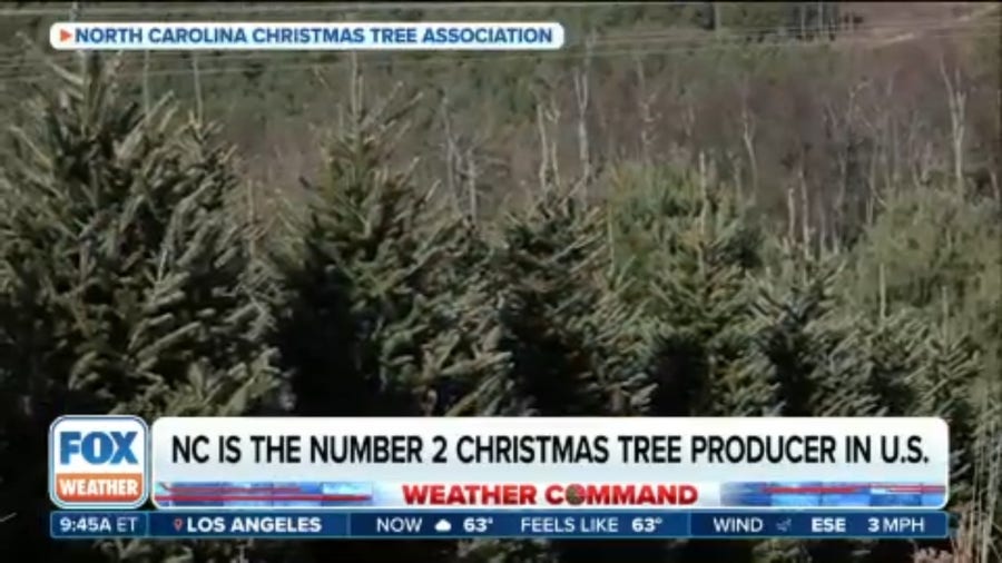 North Carolina Christmas Tree Industry Working To Get Back On Its Feet ...