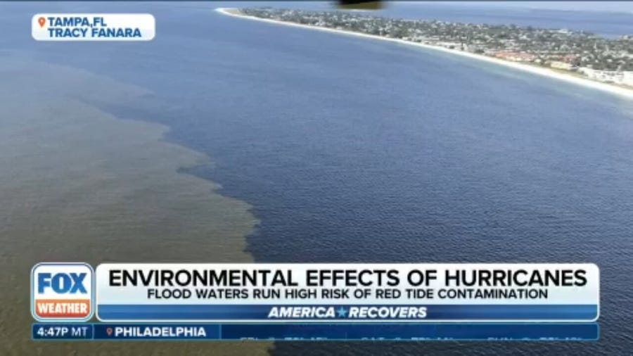 Satellite data shows rising threat of red tide for Florida Gulf Coast