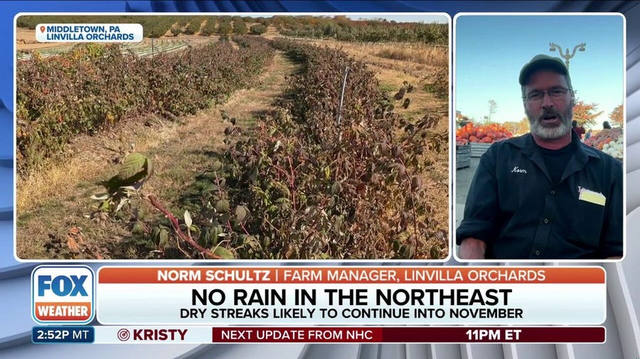 'Not sure if we'll have enough water': Dry streak continues for Pennsylvania farm