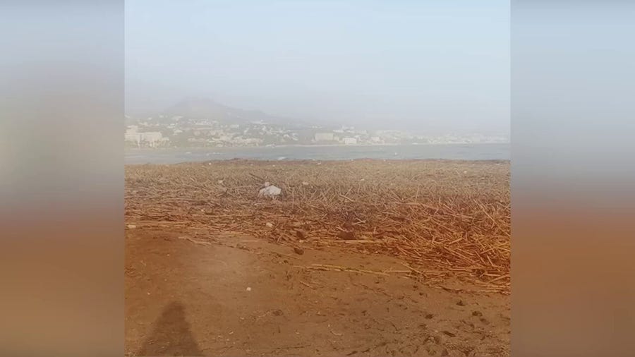 Spanish beach filled with debris after devastating floods