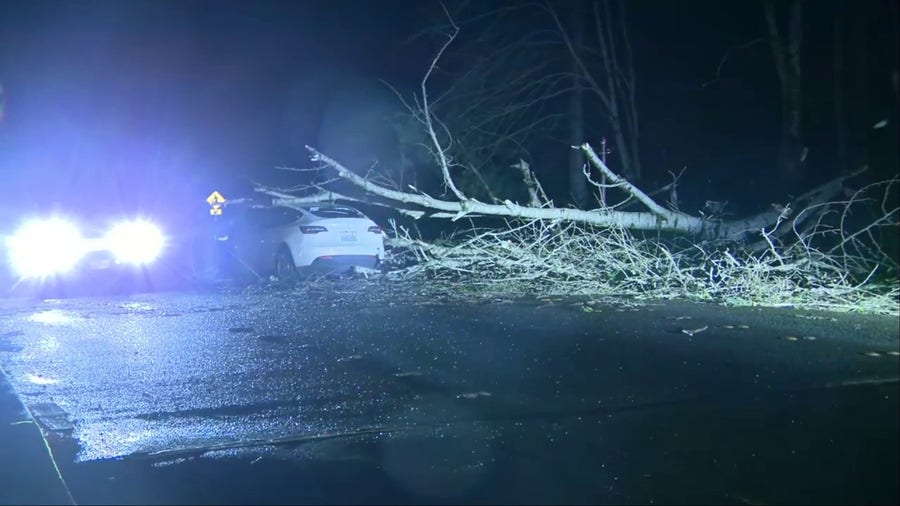 Bomb cyclone brings down trees in Mukilteo, Washington