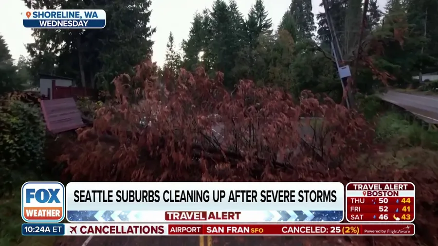 Seattle area cleans up after bomb cyclone caused widespread damage