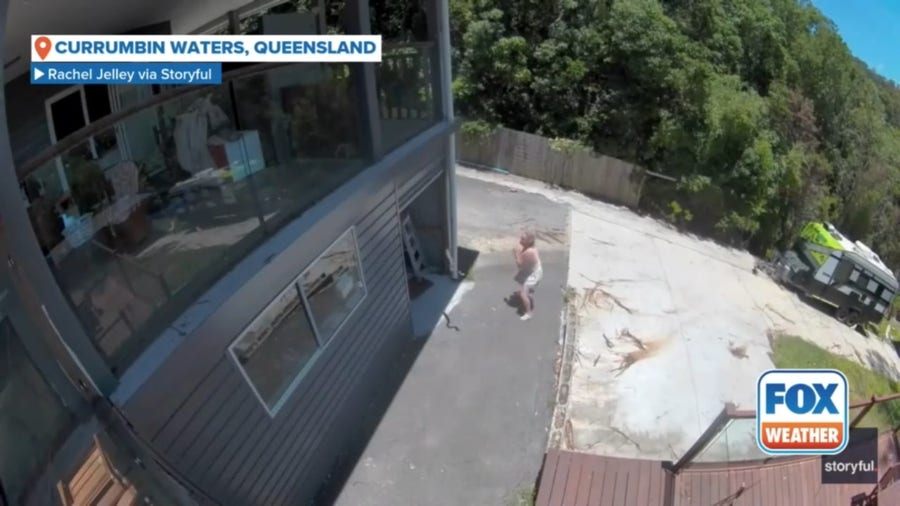 Terrifying moment massive snake swings towards woman opening garage door