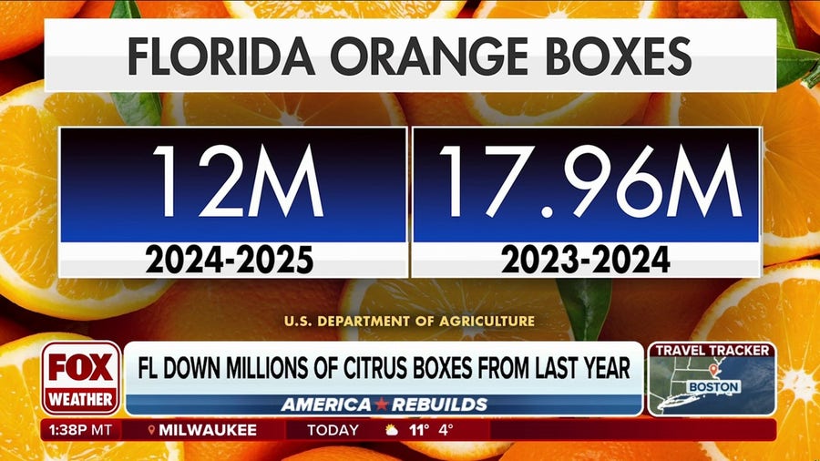 Florida's citrus crop devasted by recent hurricanes, disease