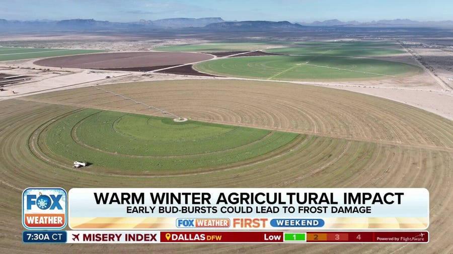 How winter weather affects farmers and their crops