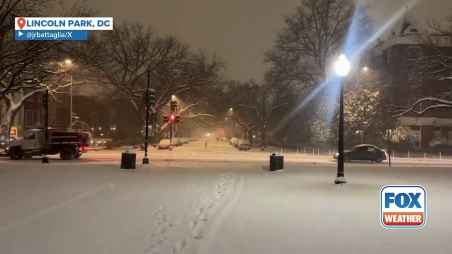 Fresh snow in Lincoln Park during 2025's first major winter storm