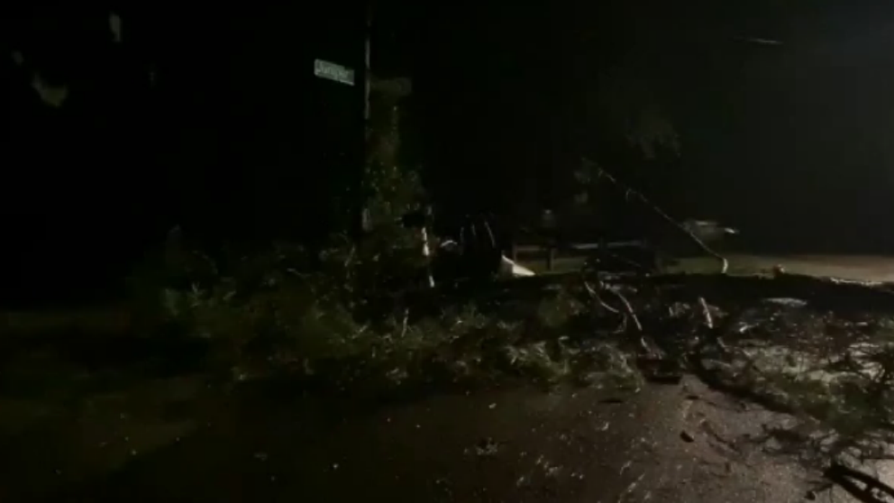 The National Weather Service received reports of tree damage and power outages in the Tallahassee area.