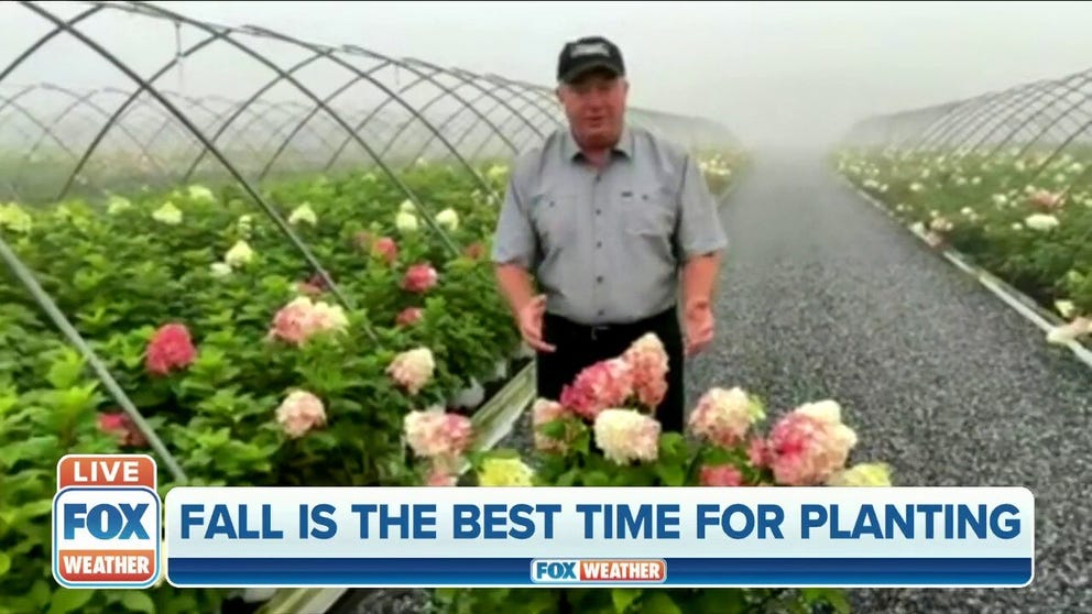 David Wilson, of Overdevest Nurseries, explains why fall is his favorite time to plant.