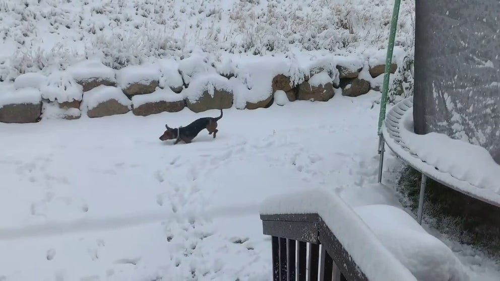 Winter conditions affected parts of Utah Oct. 18-19, bringing rain and snow to higher elevations. Video posted on Twitter shows a dog jumping through a fresh layer of snow in Draper.