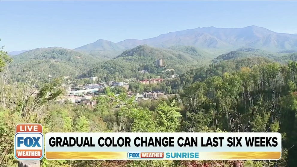By mid-October, the colors associated with fall foliage in the Smoky Mountains are scarce because fall temperatures are warmer than average.