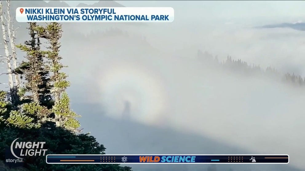 Hiker Nikki Klein describes her experience when she discovered an amazing optical display of a "glory" and "brocken spectre" while up in the Olympic Mountains of Washington.