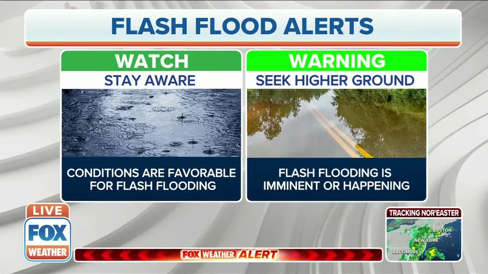FOX Weather meteorologists Stephen Morgan and Britta Merwin explain the importance of flood safety. 