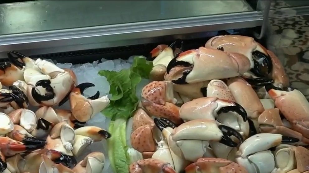 Florida's stone crab season is underway.