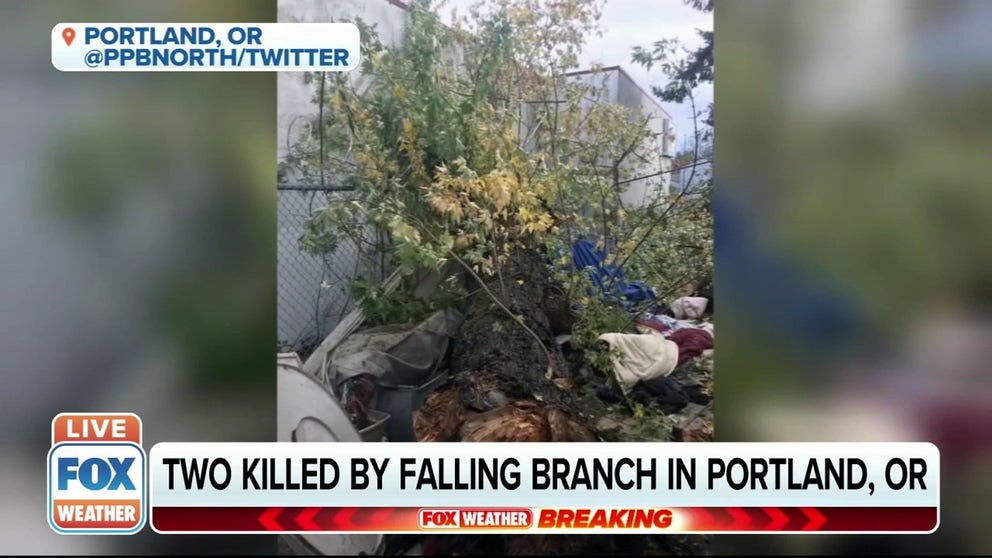 Two people were killed by falling tree branches in the Portland, Oregon, area Saturday after strong storms moved through the area. 
