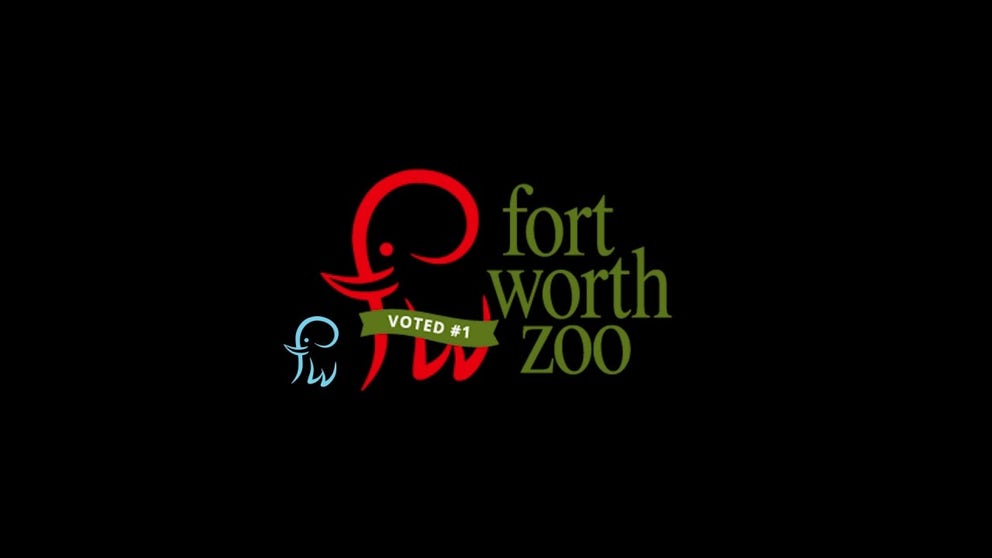 Brazos was born on Oct. 21, 2021 and is the fourth calf for the Fort Worth Zoo.
