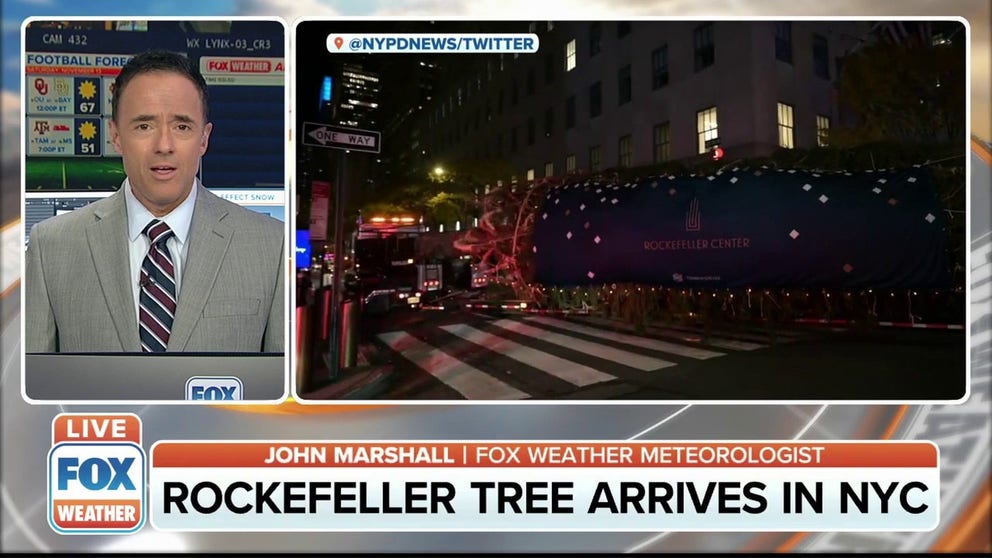 It's beginning to look a lot like Christmas, especially in New York City as this year's Rockefeller Christmas tree was escorted into Manhattan by the NYPD.