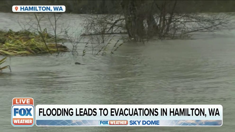 Flooding has led to evacuations in Hamilton, Washington. 