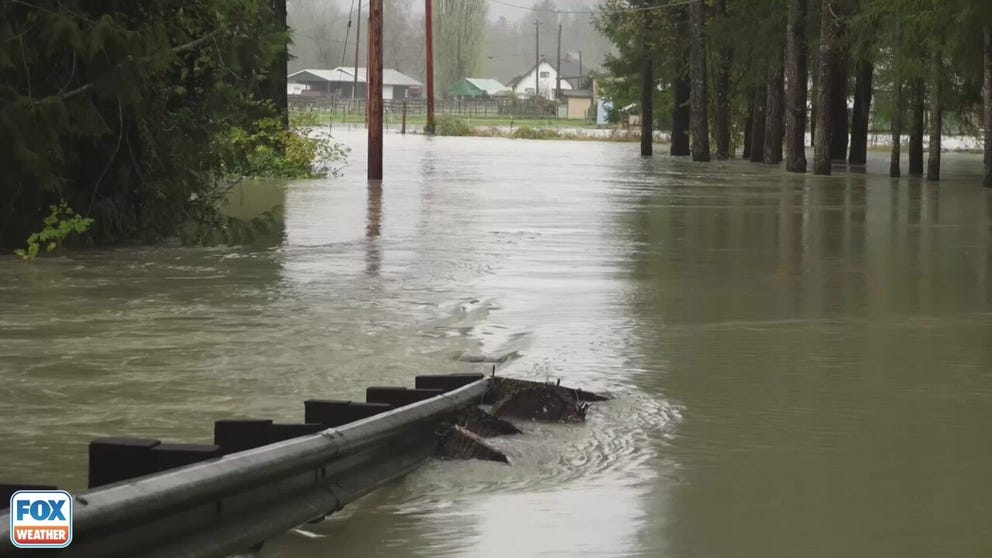 Photos and videos show damaging floods in Western Washington. 