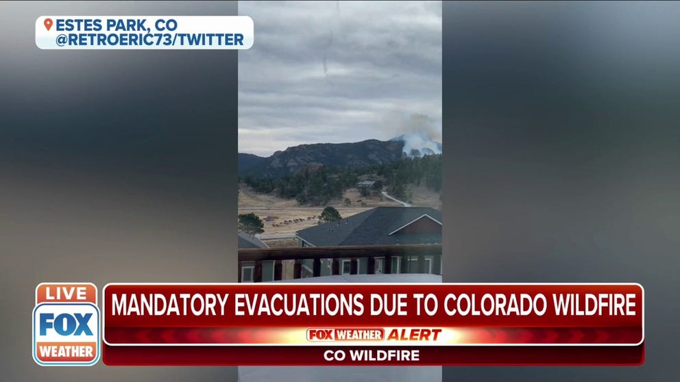 A herd of elk caught on video escaping the Estes Park wildfire at Mary’s Lake. 