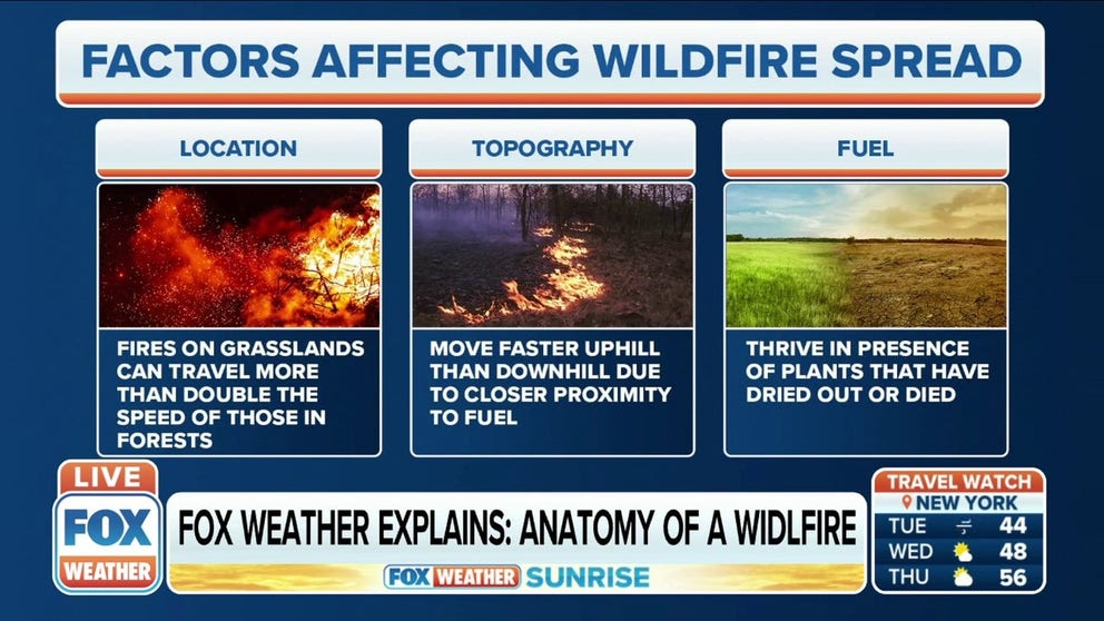 FOX Weather meteorologists Jason Frazer and Britta Merwin explain the anatomy of wildfires.