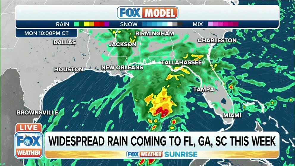 Florida and other parts of the Southeast face a threat of severe storms and flash flooding due to a Gulf of Mexico low.  