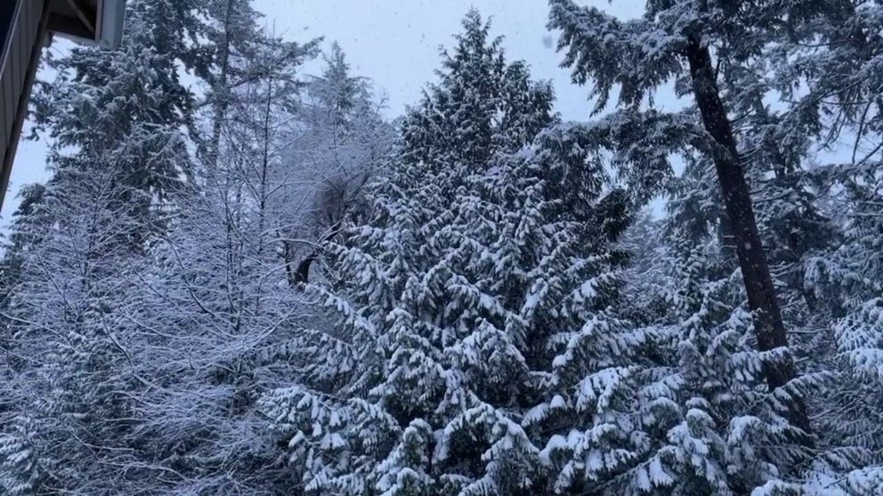FOX Weather's Scott Sistek captures the snow falling in Seattle, Washington, on Sunday morning. 